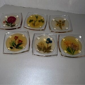 Vtg Lucite Acrylic Botanical Footed Coasters Dried Pressed Flowers Set of 6 MCM